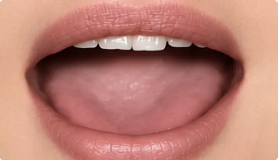 Mouth position for the French vowel [a], as in avec, la
