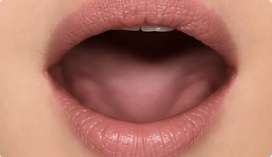 Mouth position for the French vowel [ɑ̃], as in sans, en