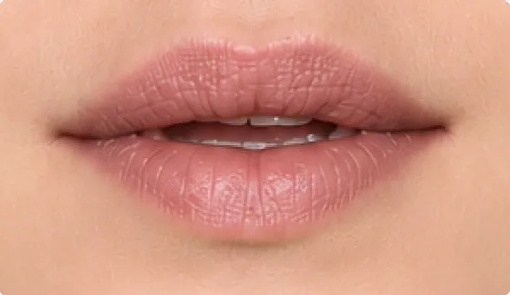 Mouth position for the French vowel [ə], as in le, petit